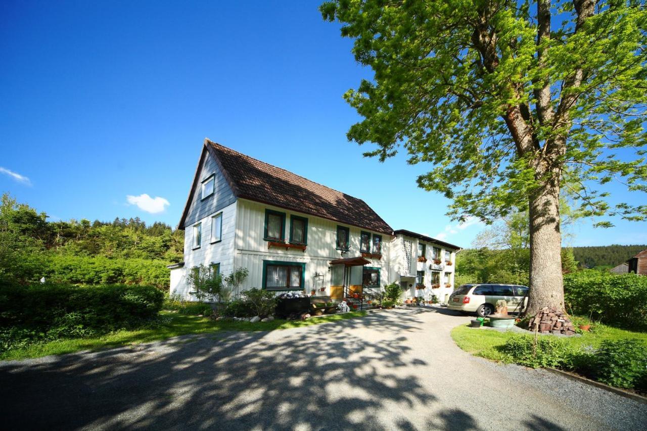 Haus Gruene Insel - Ferienwohnungen 알테나우 외부 사진